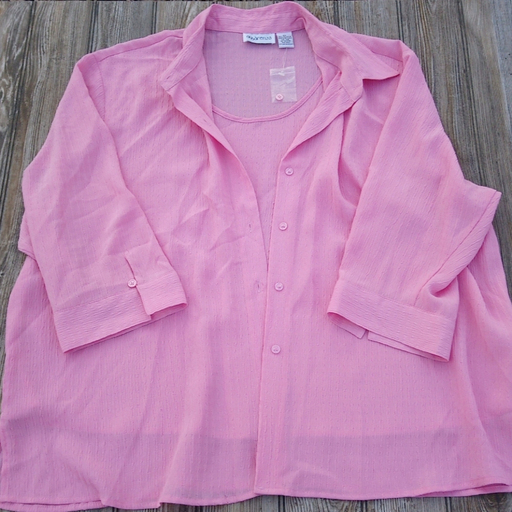 Apparenza Pink Textured Sheer Layered Blouse Top